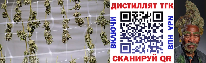 продажа наркотиков  Великий Устюг  Дистиллят ТГК вейп 